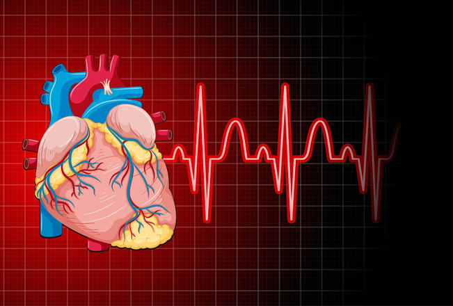 Cardiology and Vascular Care